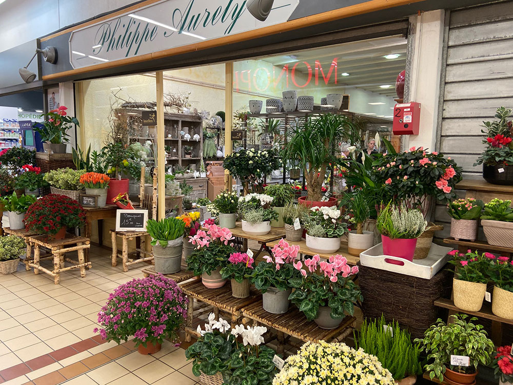 Plante : décoration florale Vienne